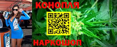сатива Волжский