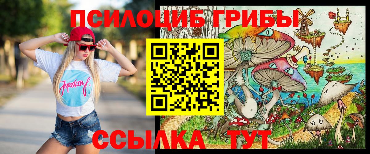 Псилоцибиновые грибы Magic Shrooms Красноярск